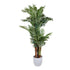Kopu® Kunstplant Arecapalm 160 cm 3 Stammen - zwarte pot - Nepplant
