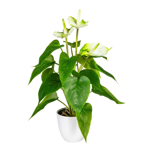 Kopu® 2 Stück Anthurium Weiße Kunstpflanze 40 cm – Flamingopflanze Weiß