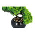 Kopu® Kunstplant Bonsai Lariks 26 cm met zwarte Pot - Bonsai boompje