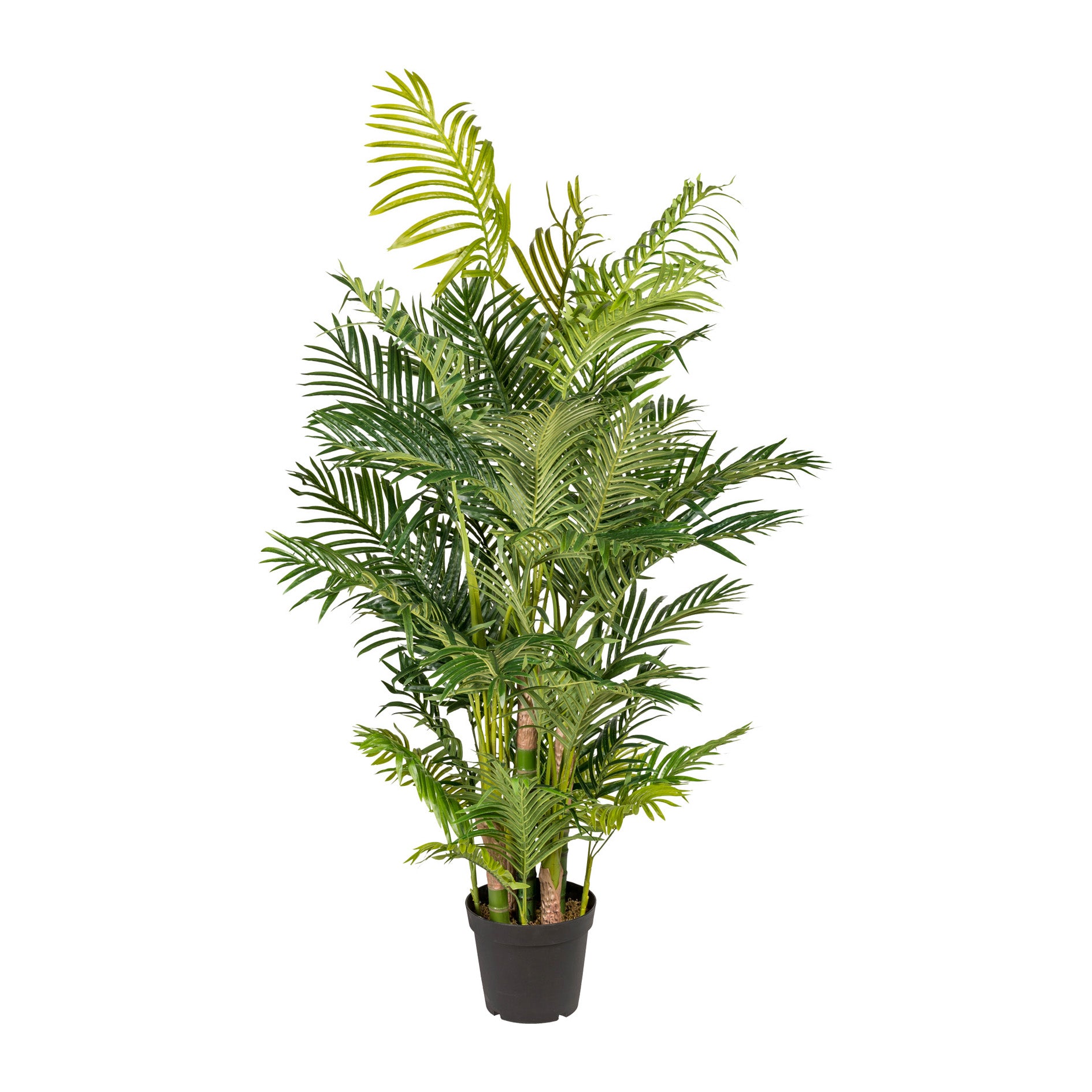 Kopu® Kunstplant Arecapalm 170 cm 9 Stammen - Real Touch - Goudpalm