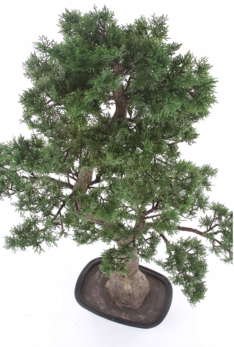 Kunstmatige cederbonsai Kopu - ca. 100 x 60 cm - in een zwarte plastic pot