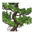 Kopu® Kunstplant Bonsai 65 cm - in zwarte Pot - Bonsai boompje