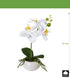 Kopu® Set 2 stuks Mini Kunstplant Orchidee 27 cm in witte Sierpot - Wit
