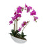 Kopu® Kunstbloem Orchidee 60 cm Roze met Schaal Ovaal - Phalaenopsis