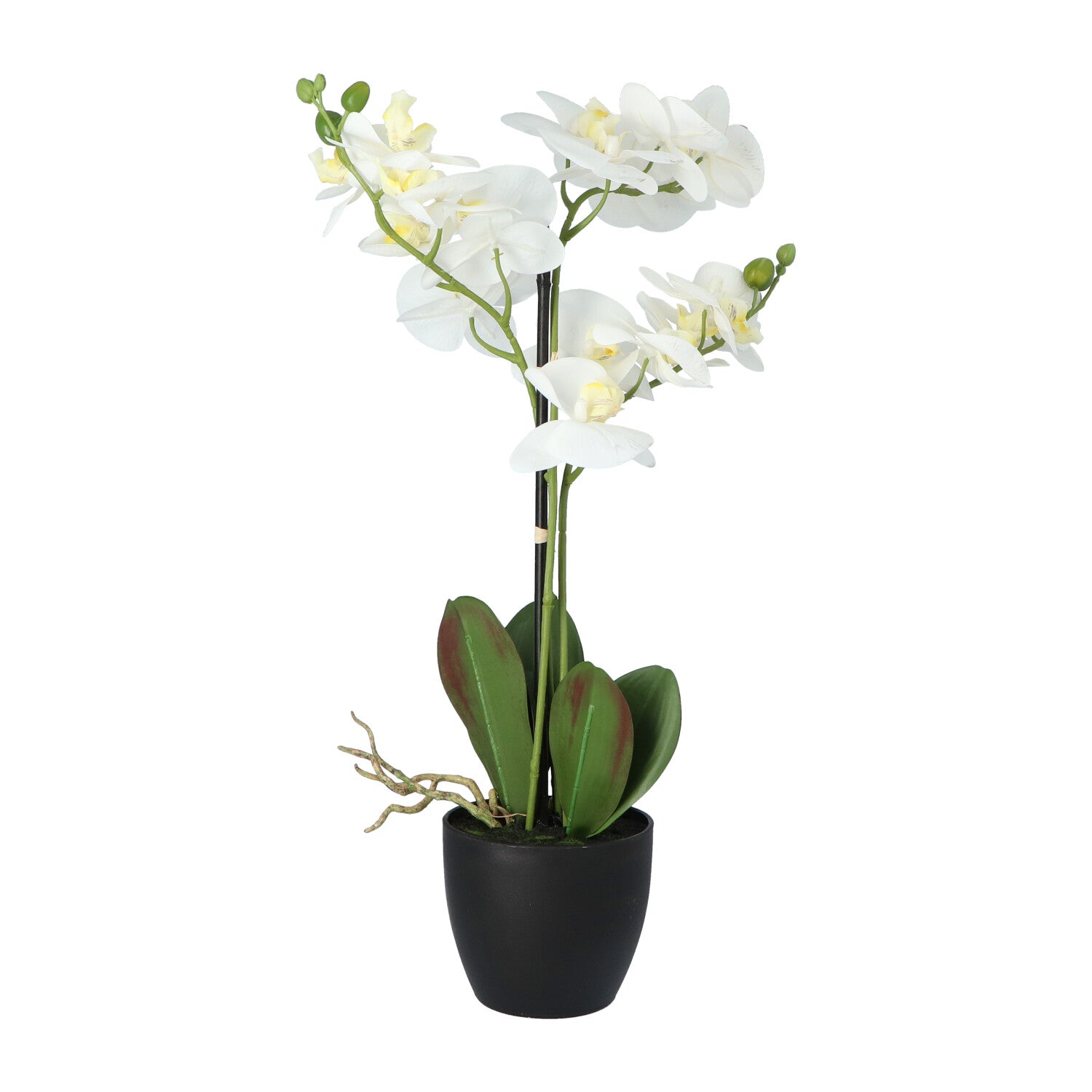 Kopu® Kunstbloem Orchidee 69 cm Wit met zwarte Pot - Phalenopsis