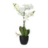 Kopu® Kunstbloem Orchidee 69 cm Wit met zwarte Pot - Phalenopsis