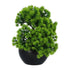 Kopu® Kunstplant Bonsai Lariks 26 cm met zwarte Pot - Bonsai boompje