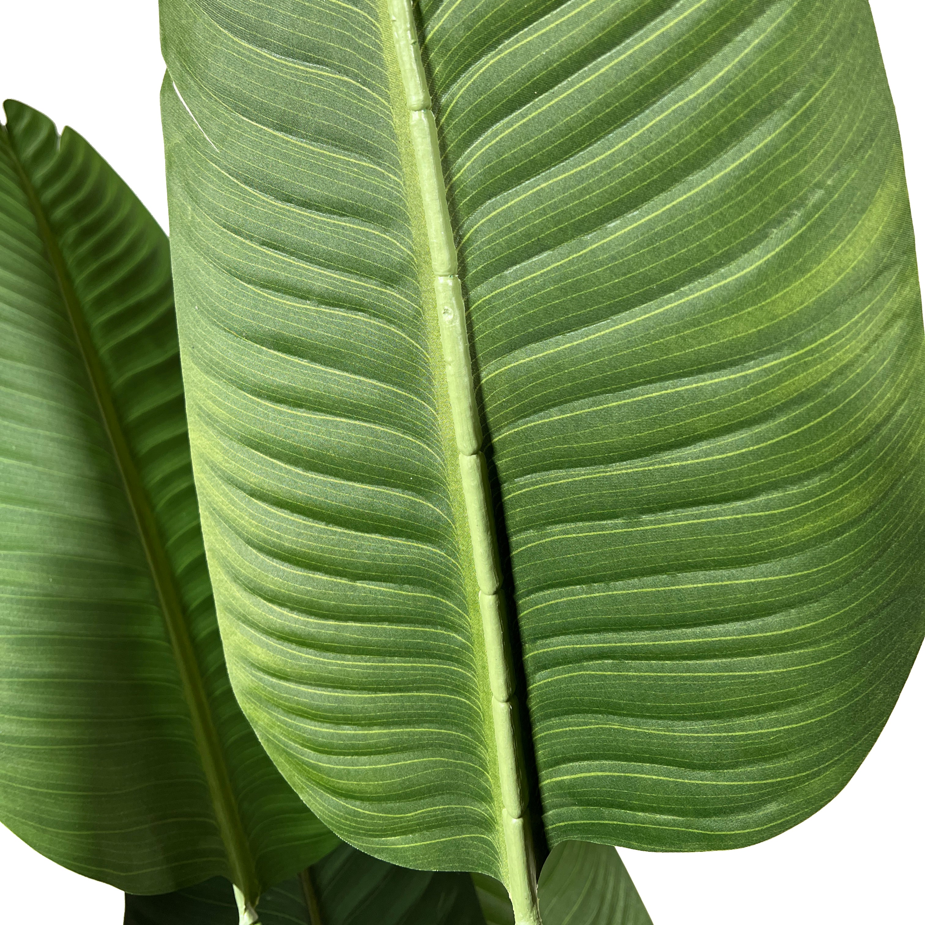 Kopu® Kunstplant Strelitzia Nicolai 160 cm Paradijsvogelplant 10 blad