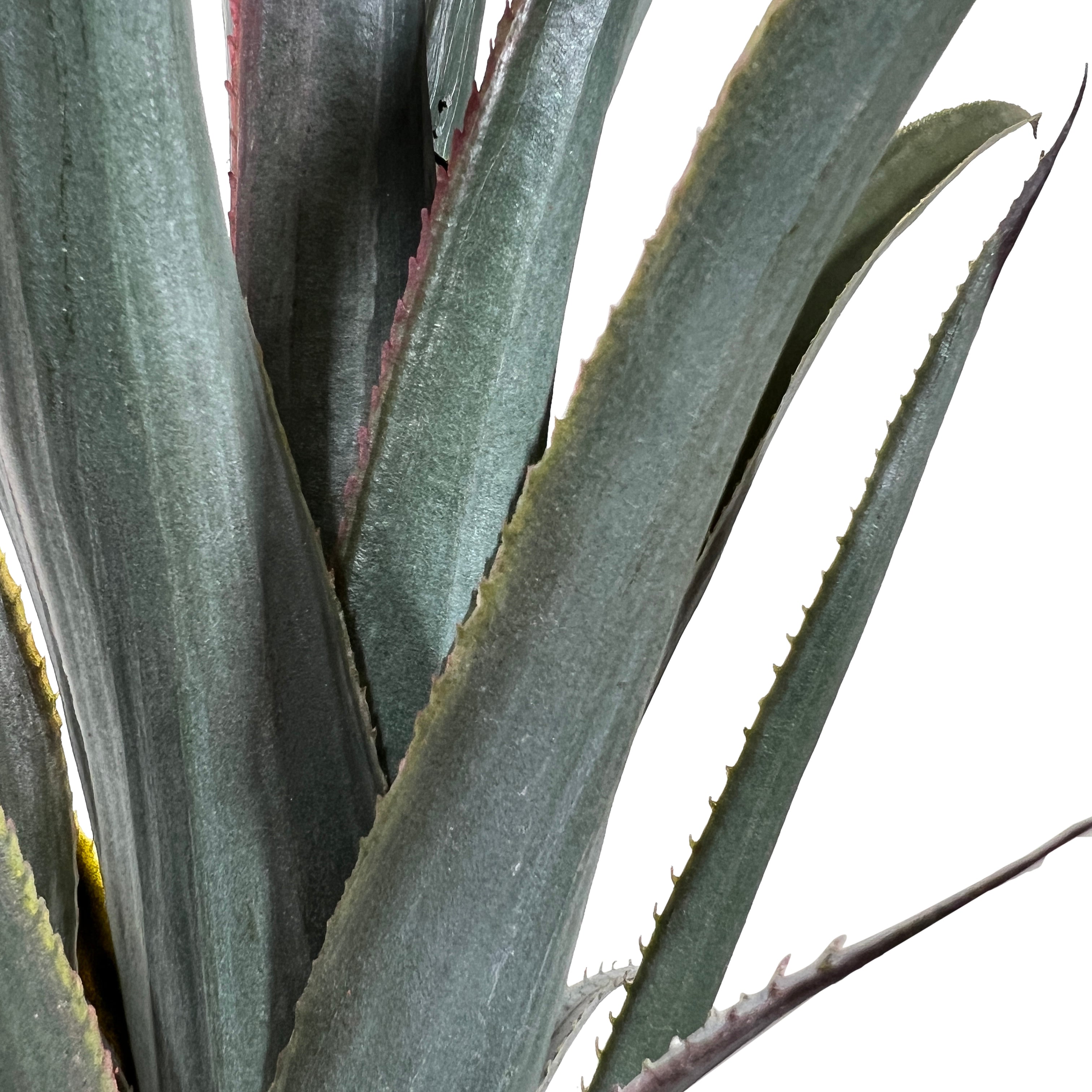 Kopu® Kunstpflanze Agave 80 cm im schwarzen Topf – 2 Stämme – Kunstpflanze