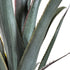 Kopu® Kunstpflanze Agave 80 cm im schwarzen Topf – 2 Stämme – Kunstpflanze