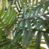 Kopu® Kunstplant Arecapalm 110 cm 6 stammen - zwarte pot - Nepplant
