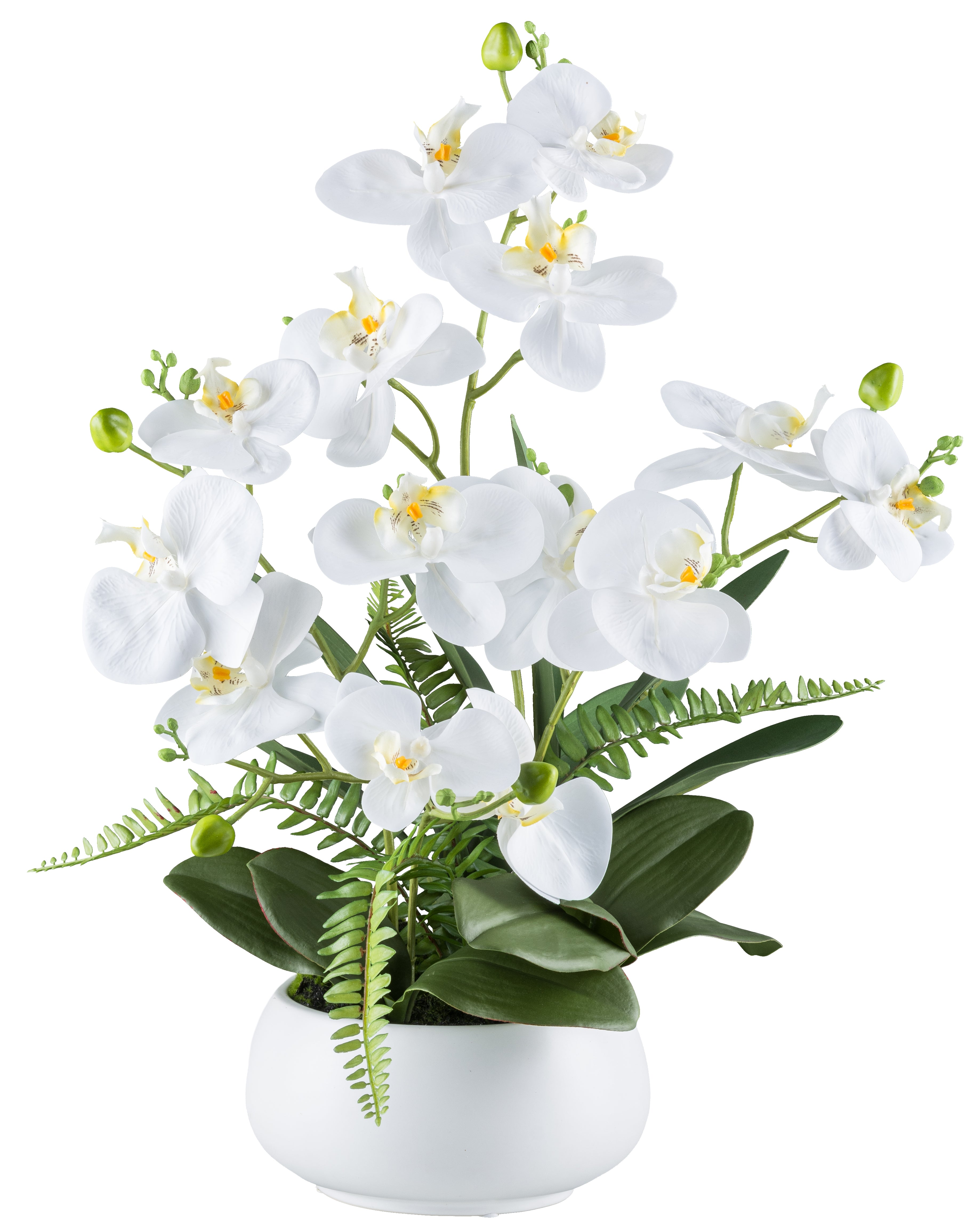 Kopu® Kunstbloem Orchidee 55 cm 4 takken op schaal - Phalaenopsis Wit