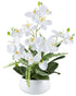 Kopu® Kunstbloem Orchidee 55 cm 4 takken op schaal - Phalaenopsis Wit