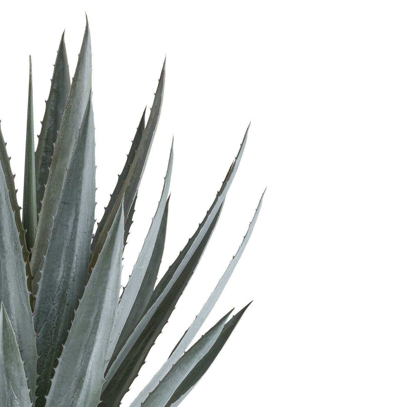 Kopu® Kunstplant Agave 110 cm in grijze Pot - 30 bladeren - Groen/Grijs