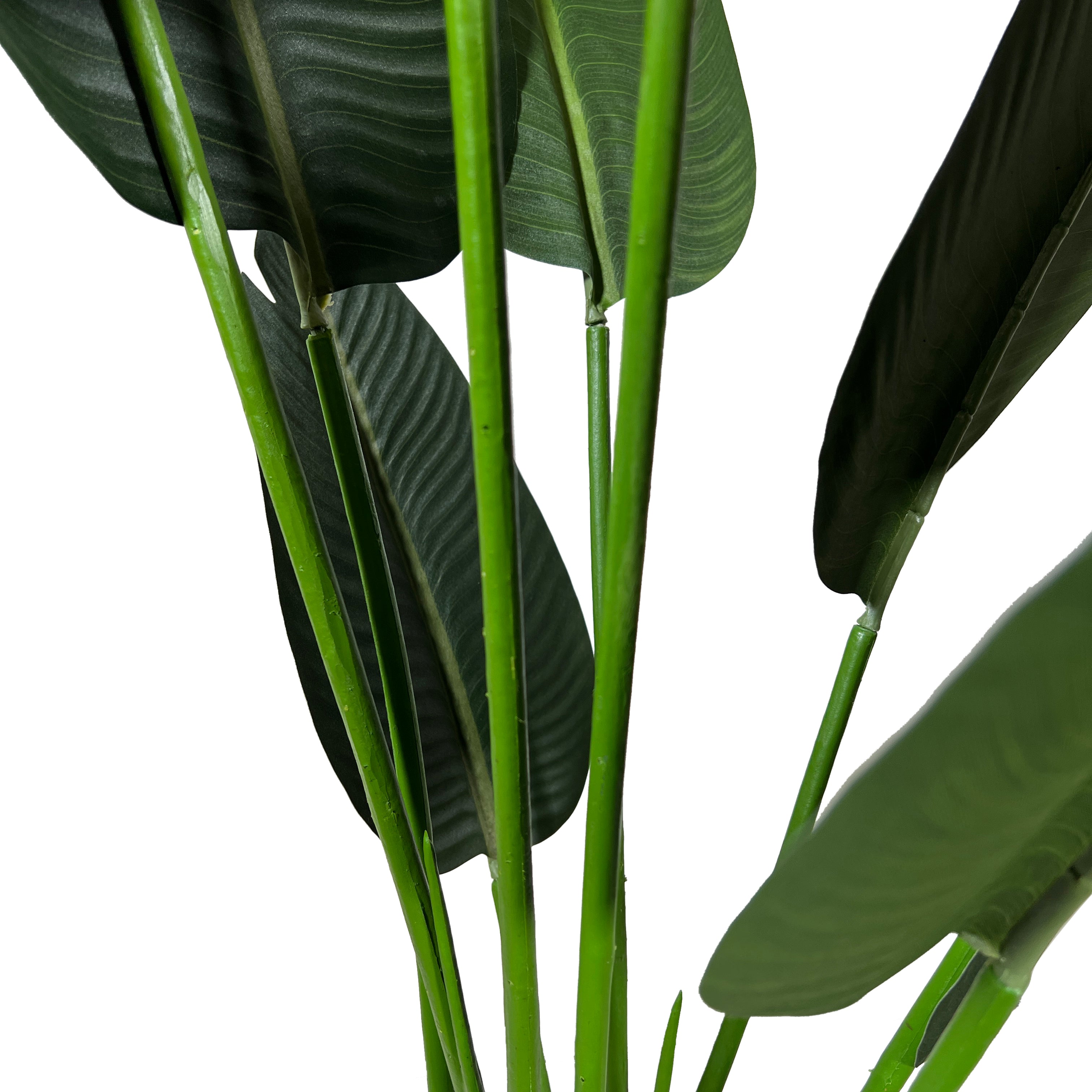 Kopu® Kunstplant Strelitzia Nicolai 160 cm Paradijsvogelplant 10 blad