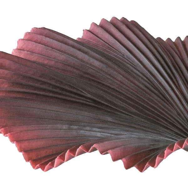 Kopu® palmboom 100 cm donkerrood in een zwarte plastic pot - Kamerplant