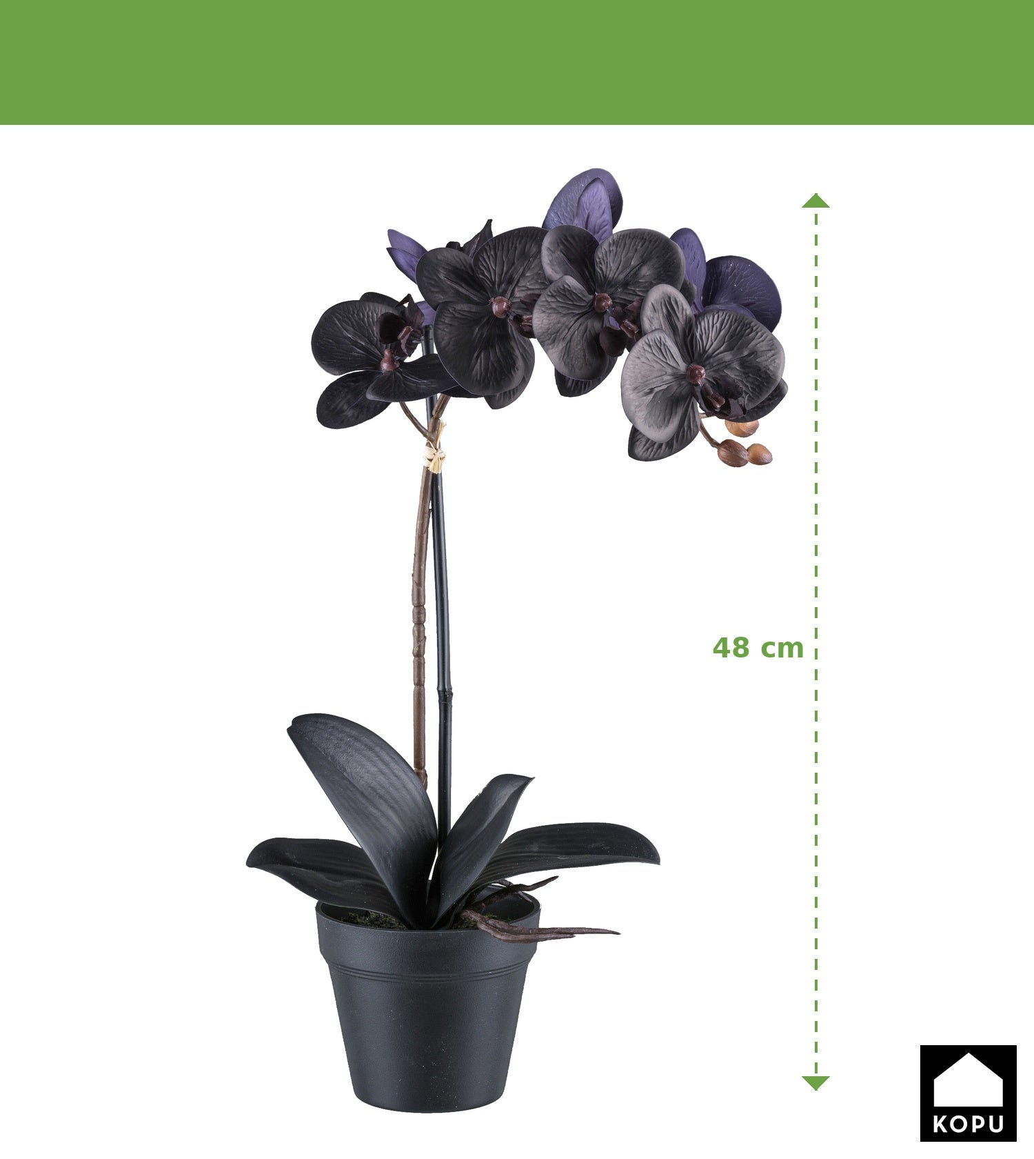Kopu® Phalaenopsis-orchidee – 48 cm 7 bloemen, 4 bladeren - Real Touch - zwart