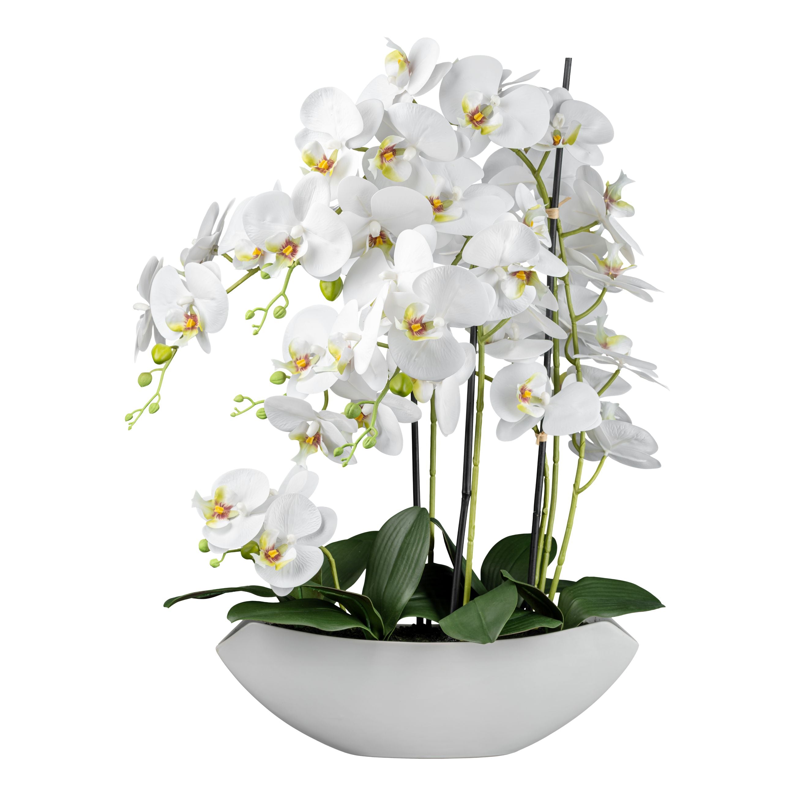 Kopu® Kunstbloem Orchidee 60 cm Wit met Schaal Ovaal - Phalenopsis