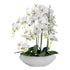 Kopu® Kunstbloem Orchidee 60 cm Wit met Schaal Ovaal - Phalenopsis