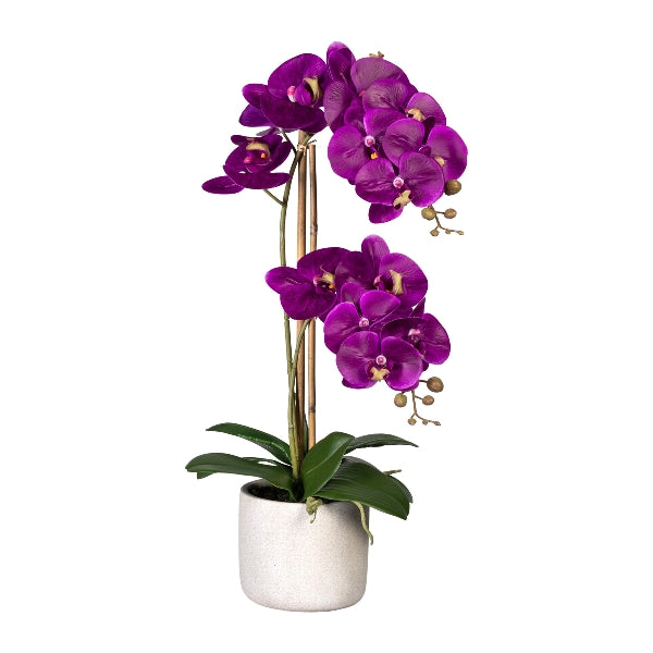 Kopu® Kunstbloem Orchidee 60 cm Lila - cement Sierpot - Phalenopsis