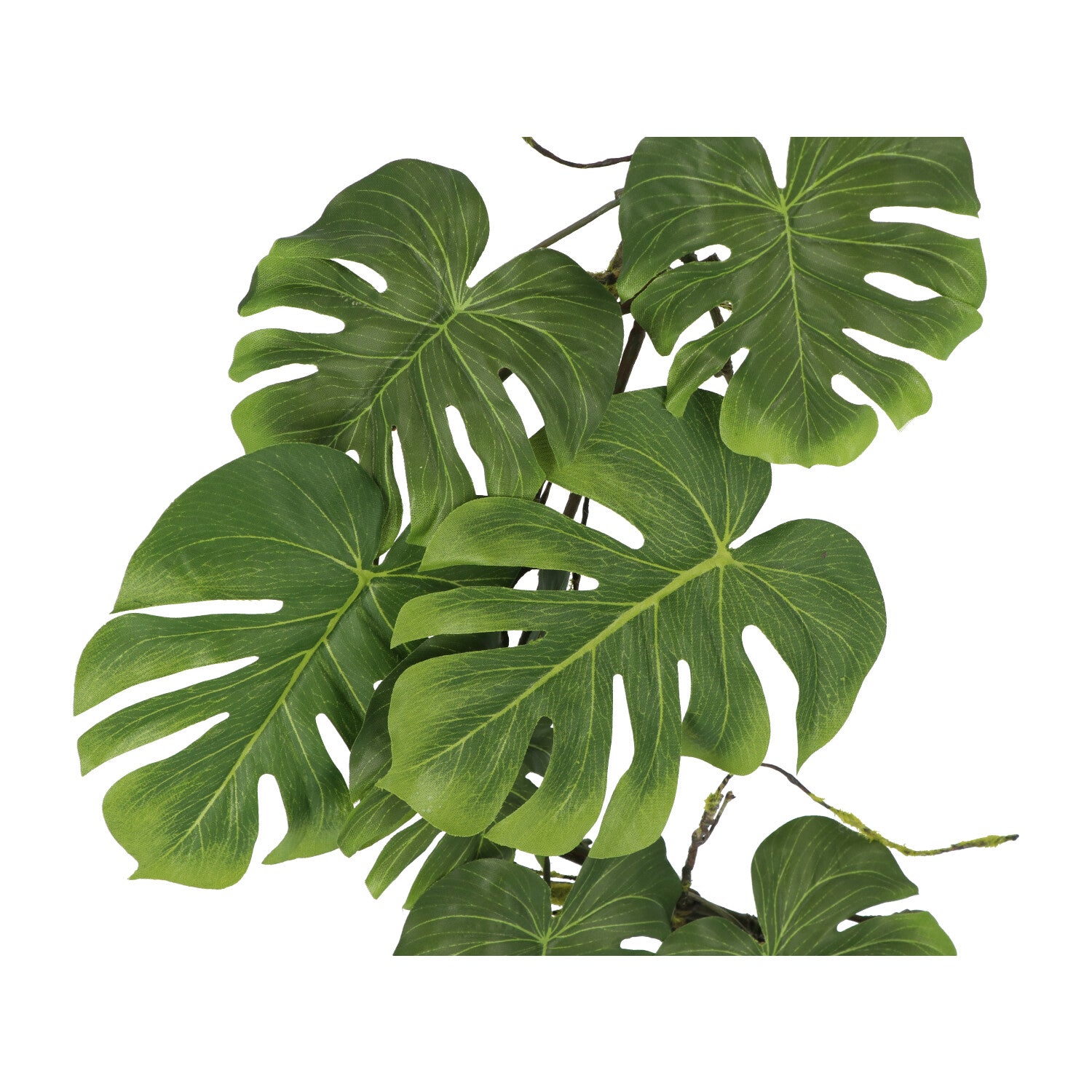 Kopu® Hangplant Split Philodendron 119 cm - Macramé Plantenhanger XL