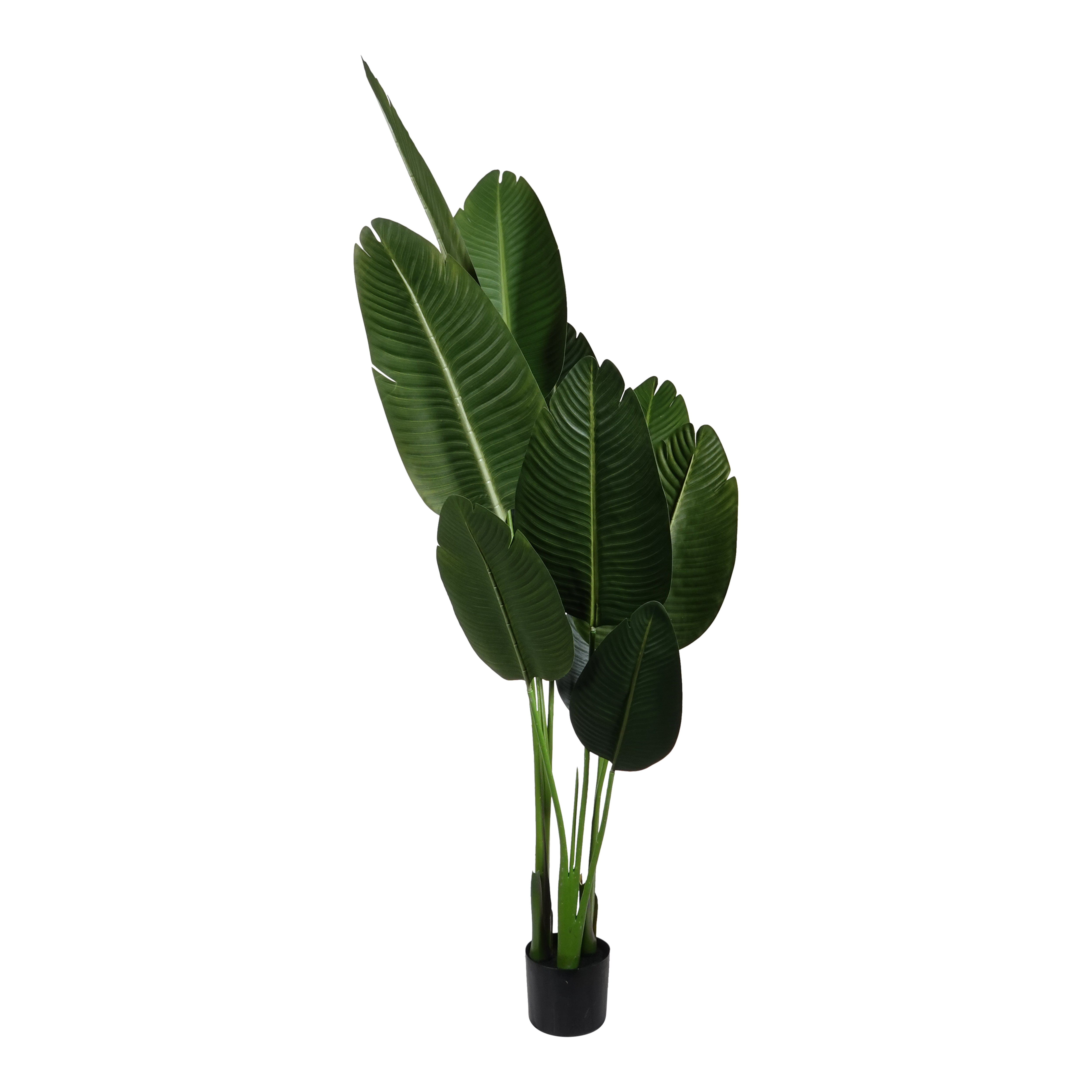 Kopu® Kunstplant Strelitzia Nicolai 160 cm Paradijsvogelplant 10 blad