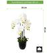 Kopu® Kunstbloem Orchidee 69 cm Wit met zwarte Pot - Phalenopsis