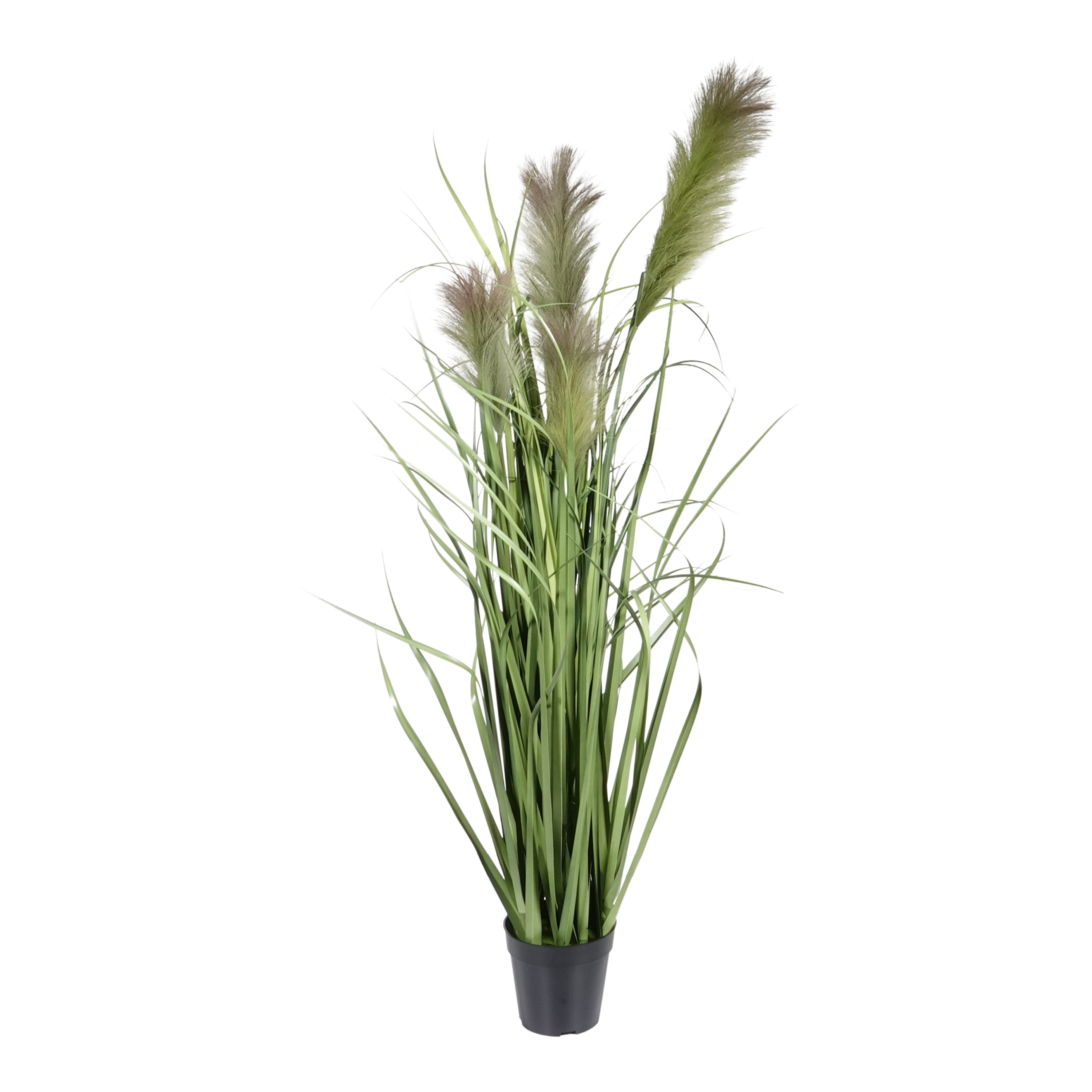 Kopu® Kunstplant Chinees Riet 120 cm - 4 pluimen - in zwarte pot