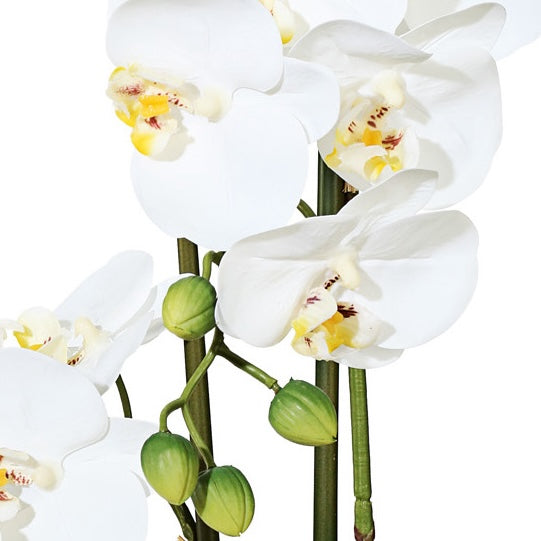 Kopu® Kunstbloem Orchidee 50 cm Wit met cement Sierpot - Phalenopsis