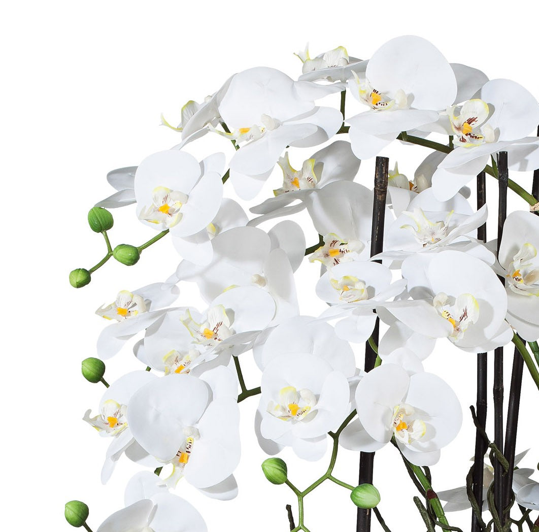Kopu® Kunstbloem Volle Orchidee 68 cm Wit met Schaal - Phalenopsis