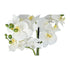 Kopu® Kunstbloem Orchidee 69 cm Wit met zwarte Pot - Phalenopsis