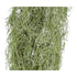 Kopu® Kunstpflanze Tilandsia extra lange Hängepflanze 140 cm – Grün