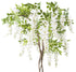 Kopu® Blauwe Regen 170 cm hoog - wit met gevlochten stam
