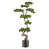 Kopu Kunst Bonsai den Circa 125 X 50 cm - In Een Zwarte Plastic Pot.