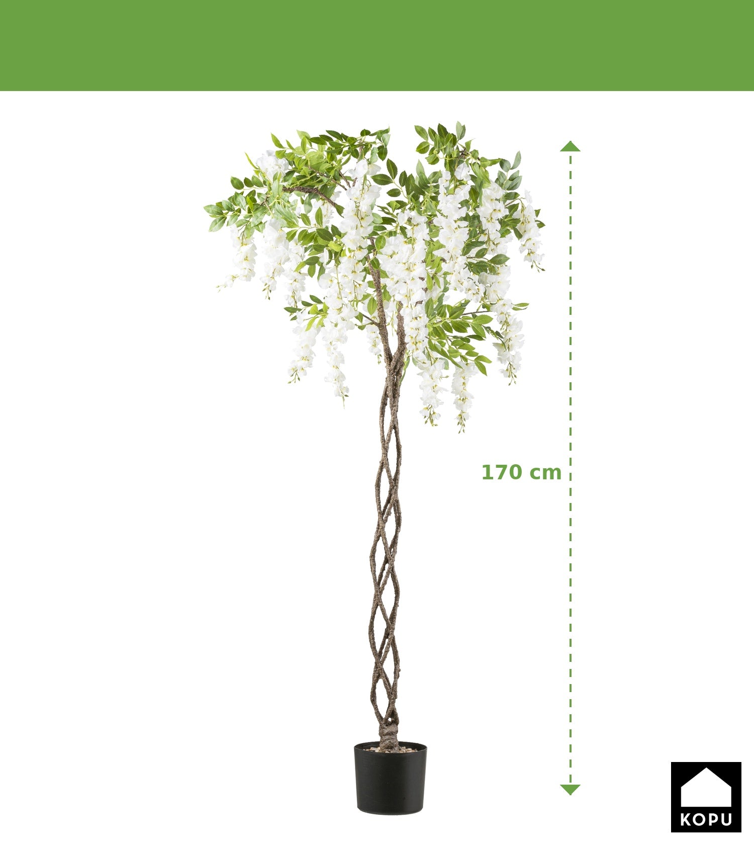 Kopu® Blauwe Regen 170 cm hoog - wit met gevlochten stam