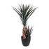 Kopu® Kunstpflanze Agave 80 cm im schwarzen Topf – 2 Stämme – Kunstpflanze