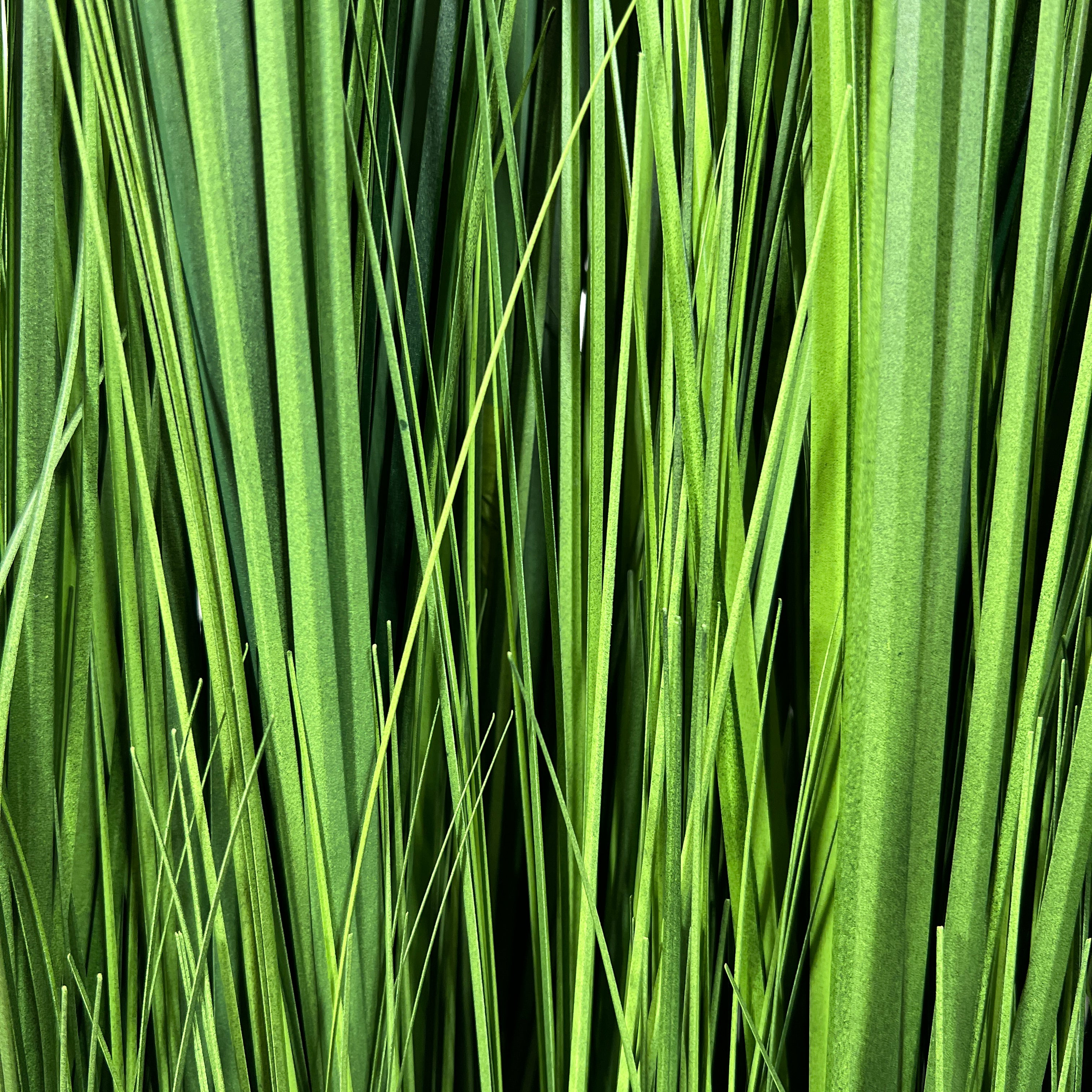 Kopu® Kunstgras Roomdivider 90 cm - Kunstgras Kamerverdeler in pot