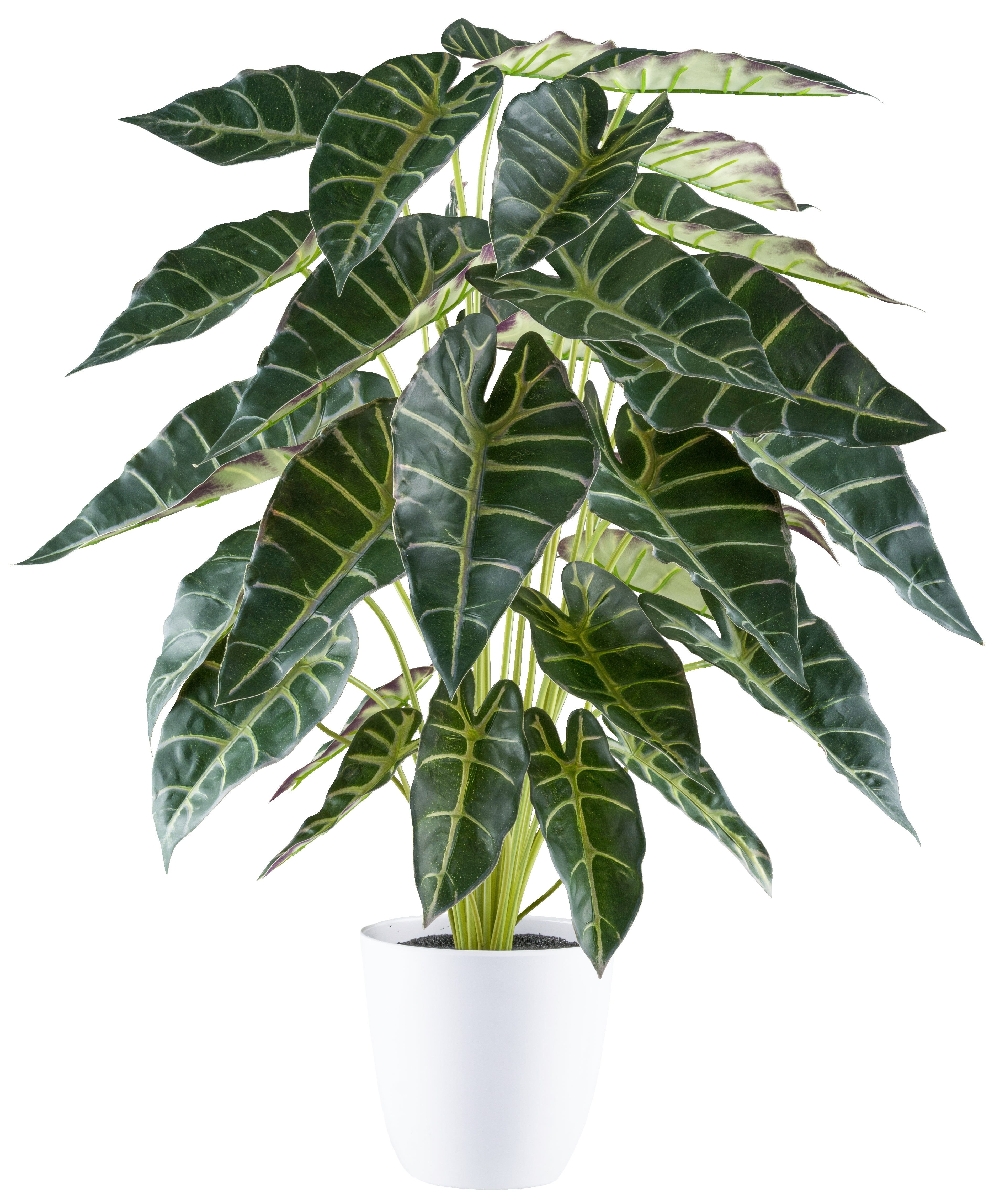 Kopu Alocasia kunstplant, 30 bladeren, 68 cm hoog, met pot - groen