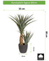 Kopu® Kunstpflanze Agave 80 cm im schwarzen Topf – 2 Stämme – Kunstpflanze
