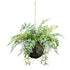 Kopu Kunstplant BOL met diverse Varen Hangplanten 25 cm - Groen