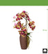 Kopu® Kunstbloem Orchidee 70 cm Paars in bruine Vaas - Phalenopsis