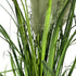 Kopu® Kunstplant Chinees Riet 120 cm - 4 pluimen - in zwarte pot