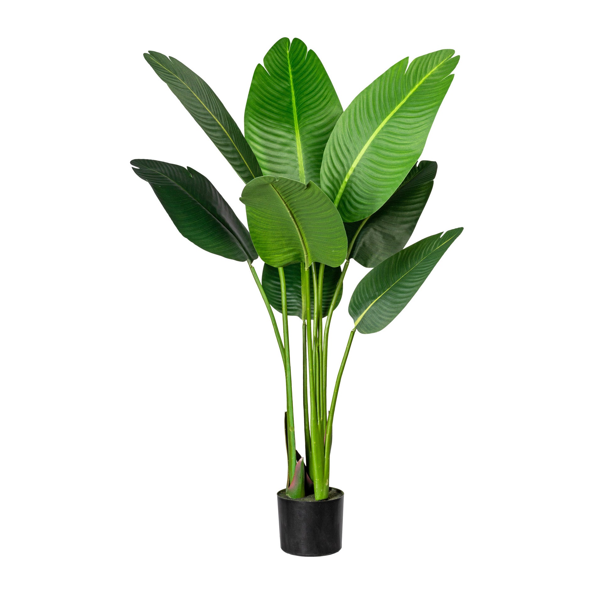 Kopu® Kunstpflanze Strelitzia Nicolai 120 cm – Paradiesvogelpflanze 8 Blätter