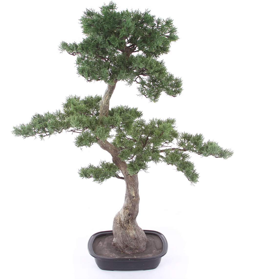 Kunstmatige cederbonsai Kopu - ca. 100 x 60 cm - in een zwarte plastic pot