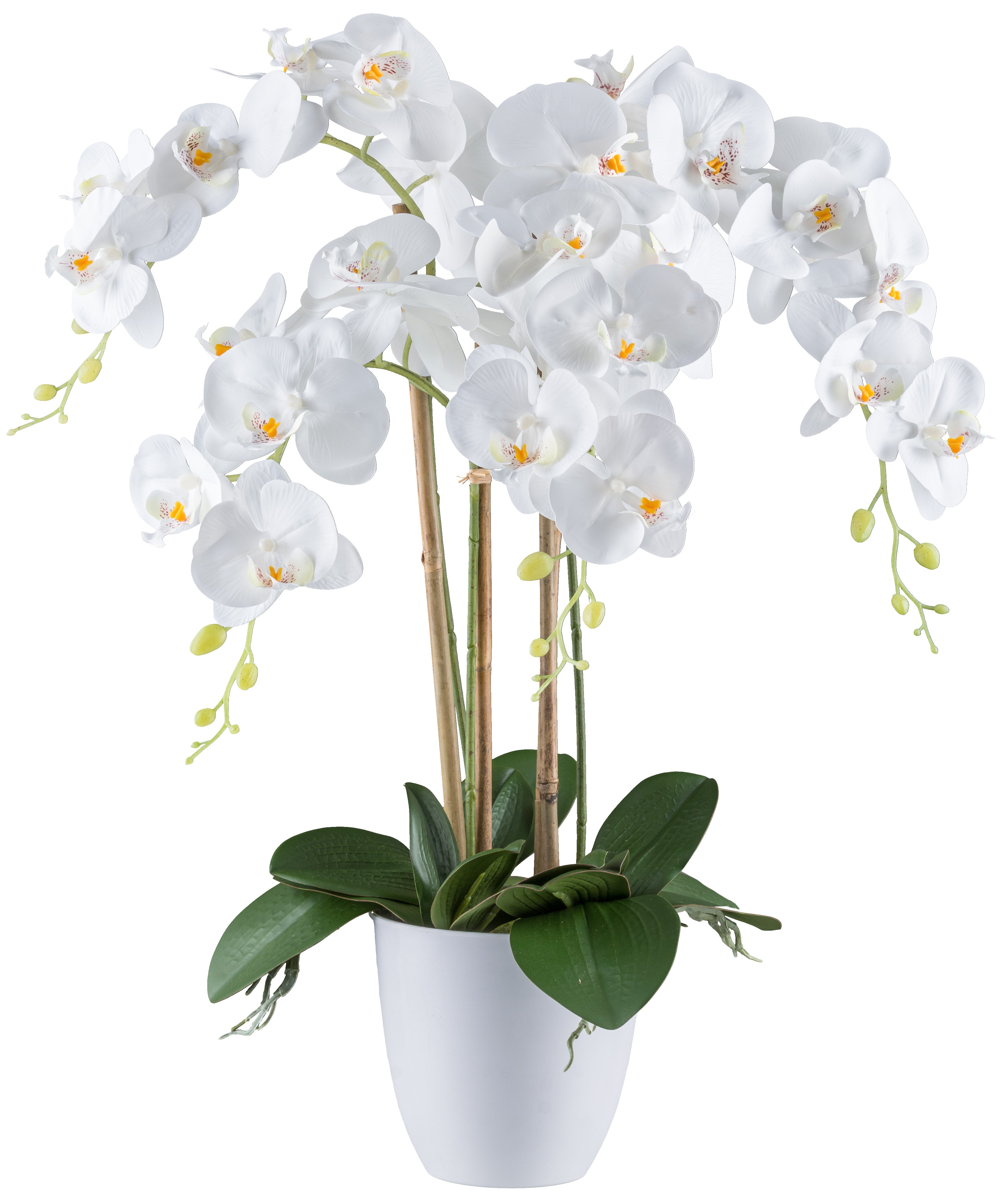 Kopu® Kunstbloem Orchidee 62 cm Wit met witte Pot - Phalenopsis