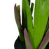 Kopu® Kunstpflanze Strelitzia Nicolai 120 cm – Paradiesvogelpflanze 8 Blätter