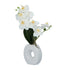 Kopu® Künstliche Blume Weiße Orchidee 35 cm in schöner weißer Vase – Phalenopsis