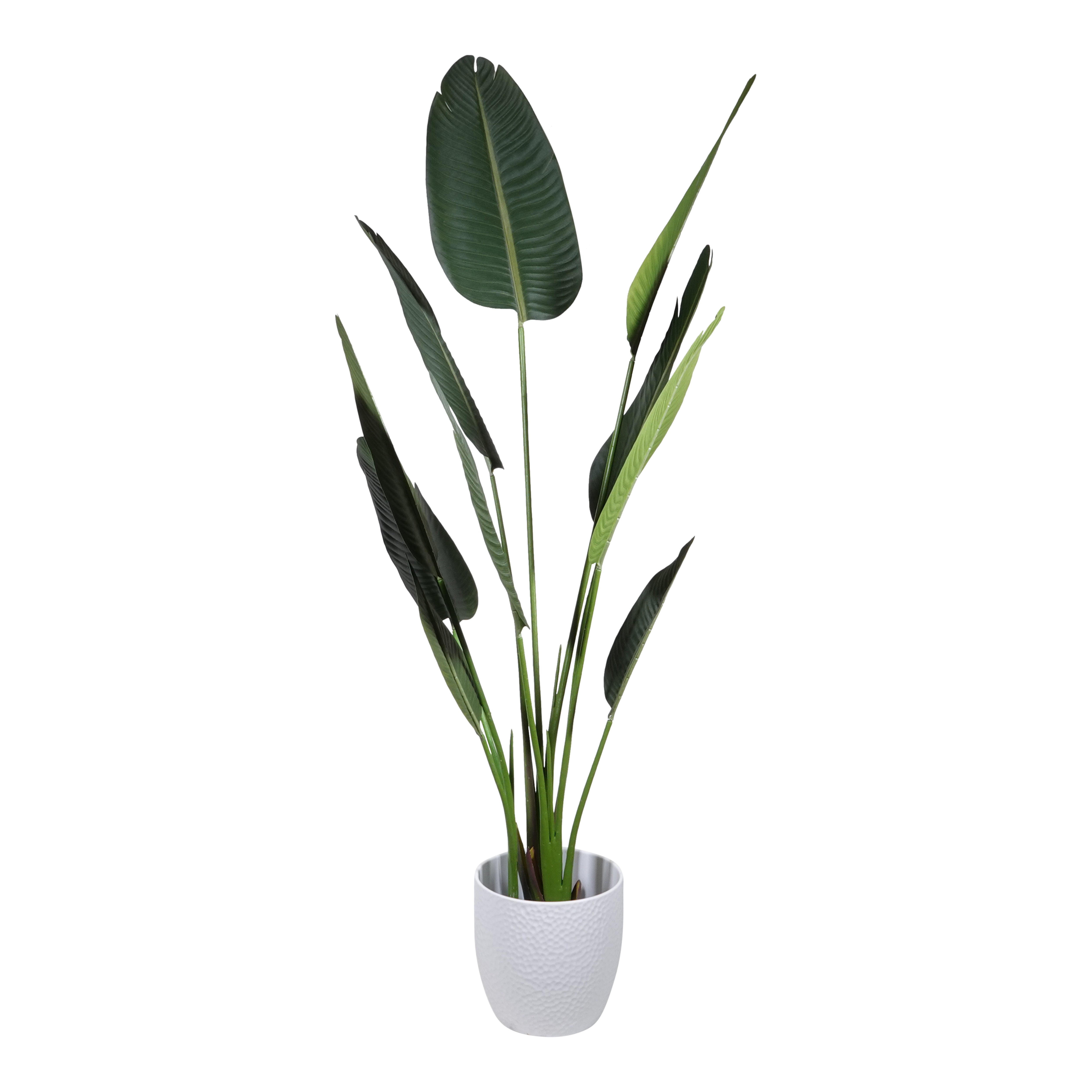 Kopu® Kunstplant Strelitzia Nicolai 160 cm Paradijsvogelplant 10 blad