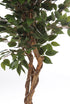 Kopu® Kunstplant Ficus 180 cm in pot met Natuurstam