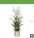 Kopu® Kunstbloem Orchidee Oncidium 98cm in pot - Wit